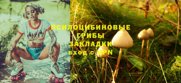 2c-b Володарск
