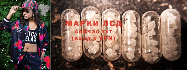 СК Волоколамск
