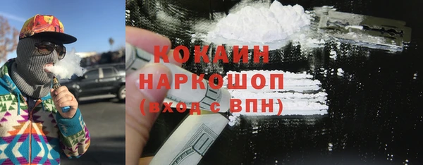 СК Волоколамск