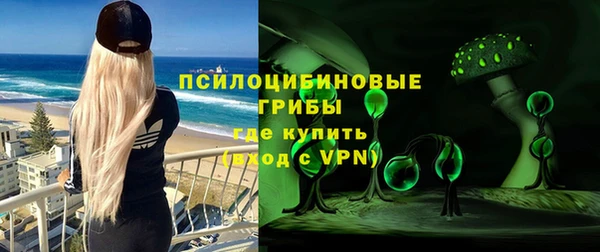 СК Волоколамск